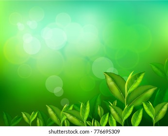 nature leaves green tea on spring  background. vector design illustrator.