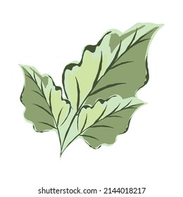 nature leaves icon flat isolated