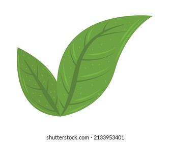nature leaves icon isolated vector