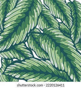 Nature Leaves isolated. color tropical leaves background. Hand drawn vector illustration.