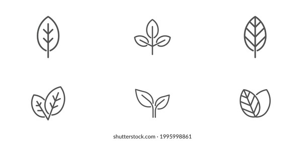 Nature leaves. Set of different types of leaves. Naturalness. Eco friendly. Fertility and growth symbol, Line icon, eco set of black line leaf Vector illustration. Design on white background. EPS10