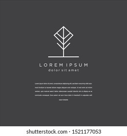 Nature leaves and trees logo Template. Vector illustration . on black background . 