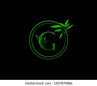 Nature letter G leaf circle icon logo design concept, floral logo G icon design.