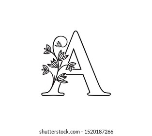 Nature letter A leaf icon logo design concept, floral logo A icon design. hand drawn floral with letter.
