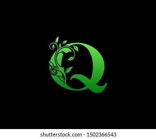 Nature letter Q leaf icon logo design concept, floral logo icon design.