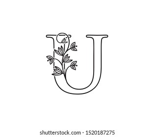 Nature Letter U Leaf Icon Logo Stock Vector (Royalty Free) 1520187275 ...