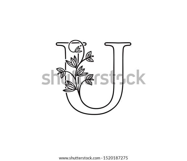 Nature Letter U Leaf Icon Logo Stock Vector (Royalty Free) 1520187275 ...