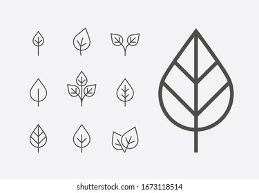 Nature line design leaf icon set. Ecology sign collection vector illustrations.