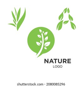 Nature logo design is simple and elegant.