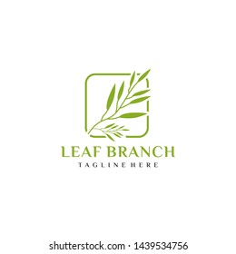 Nature logo design with square frame