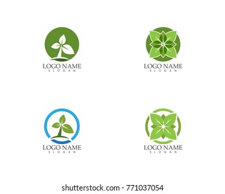 Nature logo design template