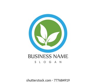 Nature logo design template