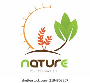logotipo de la naturaleza entorno ecológico logotipo cultivo hoja de trigo verde luz solar ilustración vectorial cultivo concepto orgánico natural de trigo