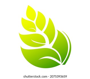 nature logo with green leaf concept. Useful for decoration, branding, label product, packaging.