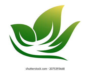 logotipo de naturaleza con concepto de hoja verde. Útil para la decoración, la marca, la etiqueta del producto, el embalaje.