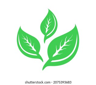 logotipo de naturaleza con concepto de hoja verde. Útil para la decoración, la marca, la etiqueta del producto, el embalaje.