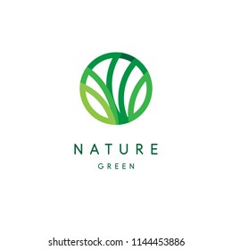 Nature logo, green tropical leaves icon, line stylized, round emblem, modern design, tree foliage logotype template