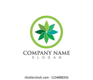 Nature Logo icon