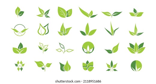 Nature logo icon for herbal, vegan or organic design Premium Vector