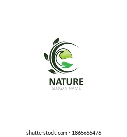 Nature logo Image green tropical leaves illustration design