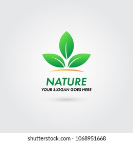 Nature Logo with Leaf Concept Template