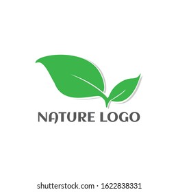 Nature logo. Leaf design ecology symbol