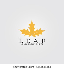 Nature logo template, vector logo for business corporate, leaf icon, spa, beauty salon, luxury, element, illustration.