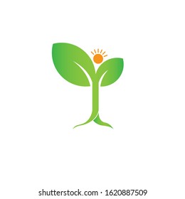 nature logo with tree and sun