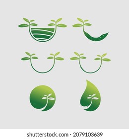 Plantilla de diseño del vector del logotipo de la naturaleza