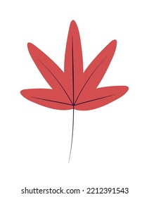 nature maple leaf icon isolated