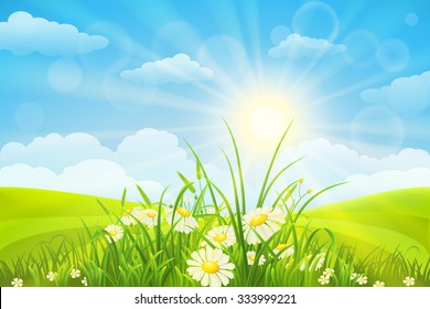 Nature meadow background  with flowers, grass, sky and sun