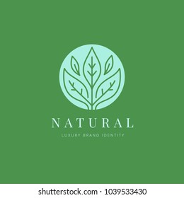 Nature monogram Logo template design for beauty spa and green products