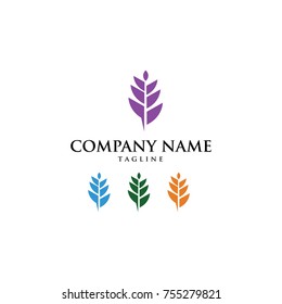 NATURE NATURAL VECTOR LOGO