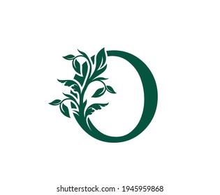 Nature O Letter Floral logo. Vintage classic ornate letter vector.