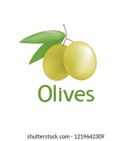 nature olive illustration