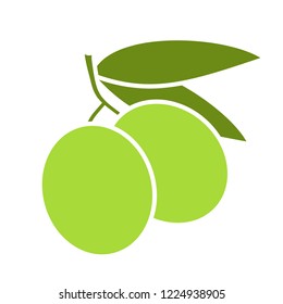 nature olive illustration
