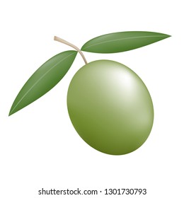 nature olive illustration