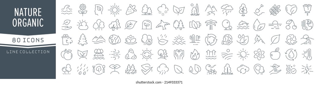 Nature and organic line icons collection. Big UI icon set in a flat design. Thin outline icons pack. Vector illustration EPS10