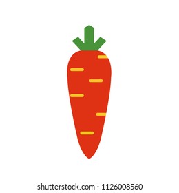 Nature organic vegetable carrot, healthy vector colorful food vegetable spice ingredient.