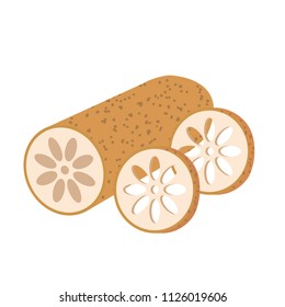 Nature organic vegetable Lotus root, healthy vector colorful food vegetable spice ingredient.