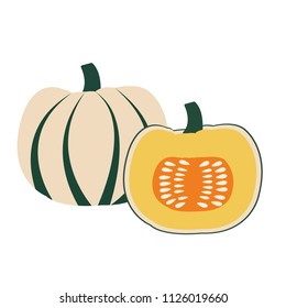 Nature organic vegetable Sweet dumpling squash, healthy vector colorful food vegetable spice ingredient.