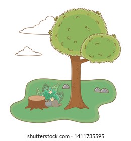 nature outdoor tree environment cartoon