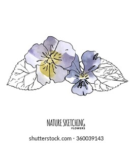 Nature Painting, Flower. Watercolor Violet Flower Background. Hand Drawn Vector Illustration. Line Art Ink Sketch. Watercolor Splash. Mixed Media.