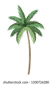 Naturpalmenkarikatur