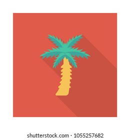  nature palm tree