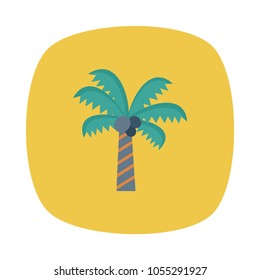  nature palm tree