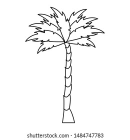nature palm tree environment cartoon vector illustration graphic design