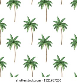 nature palms cartoon