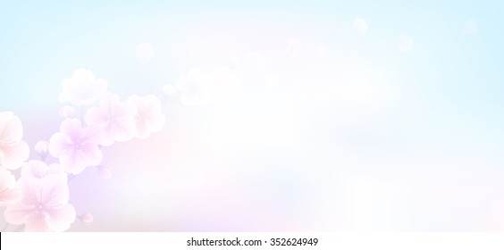 Nature panoramic background with branch of pink sakura flowers. Vector template on blur background