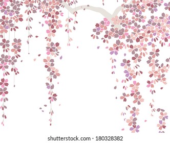 nature pattern